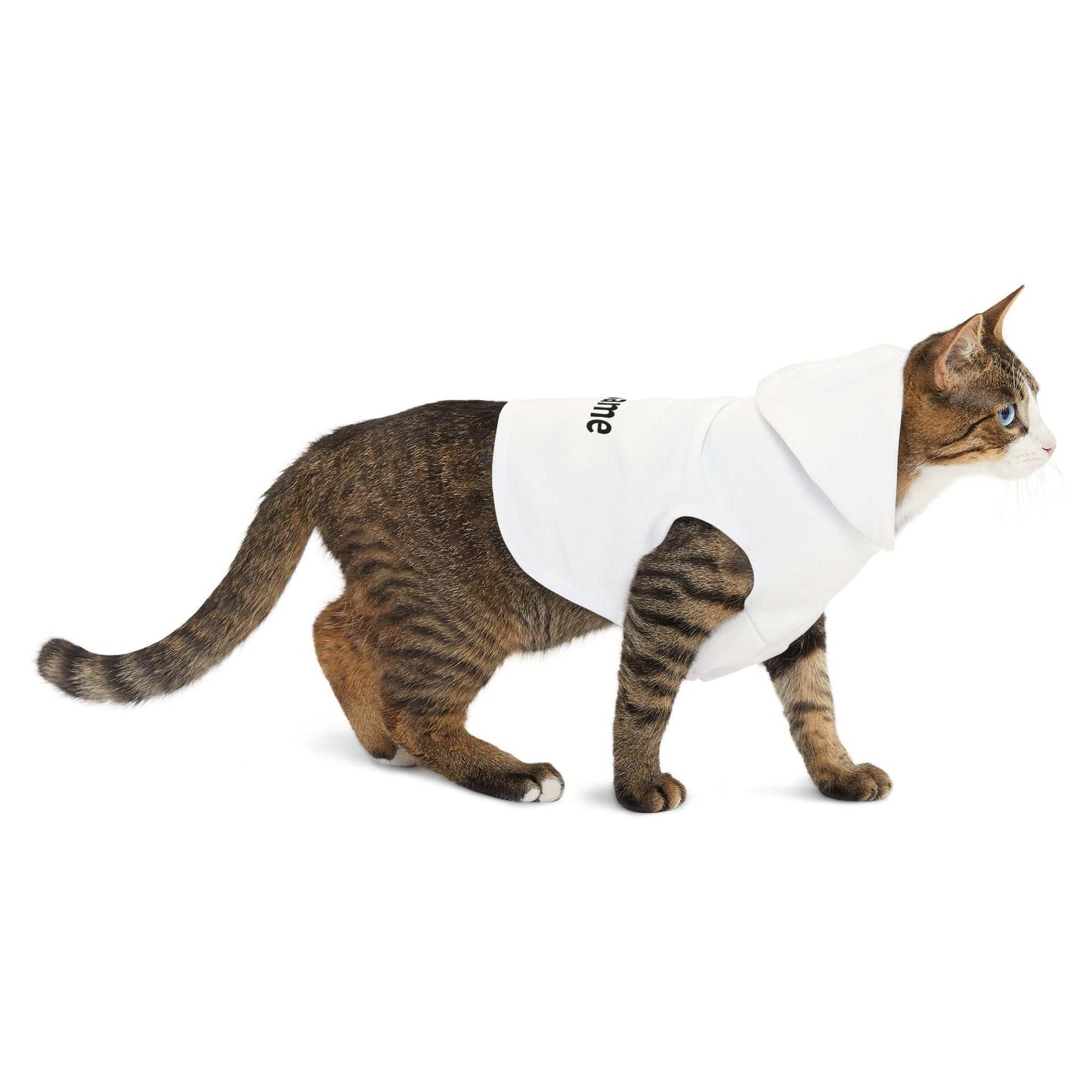Personalized Pet Hoodie