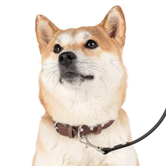 Durable Pet Leash