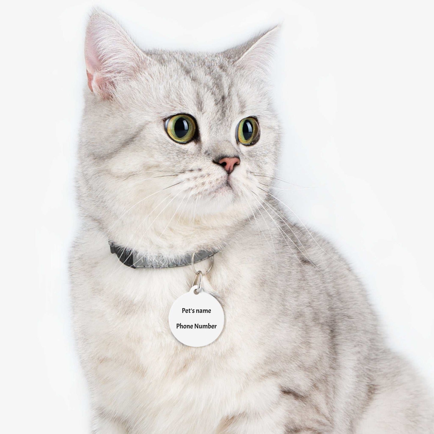 Personalized Pet Tag