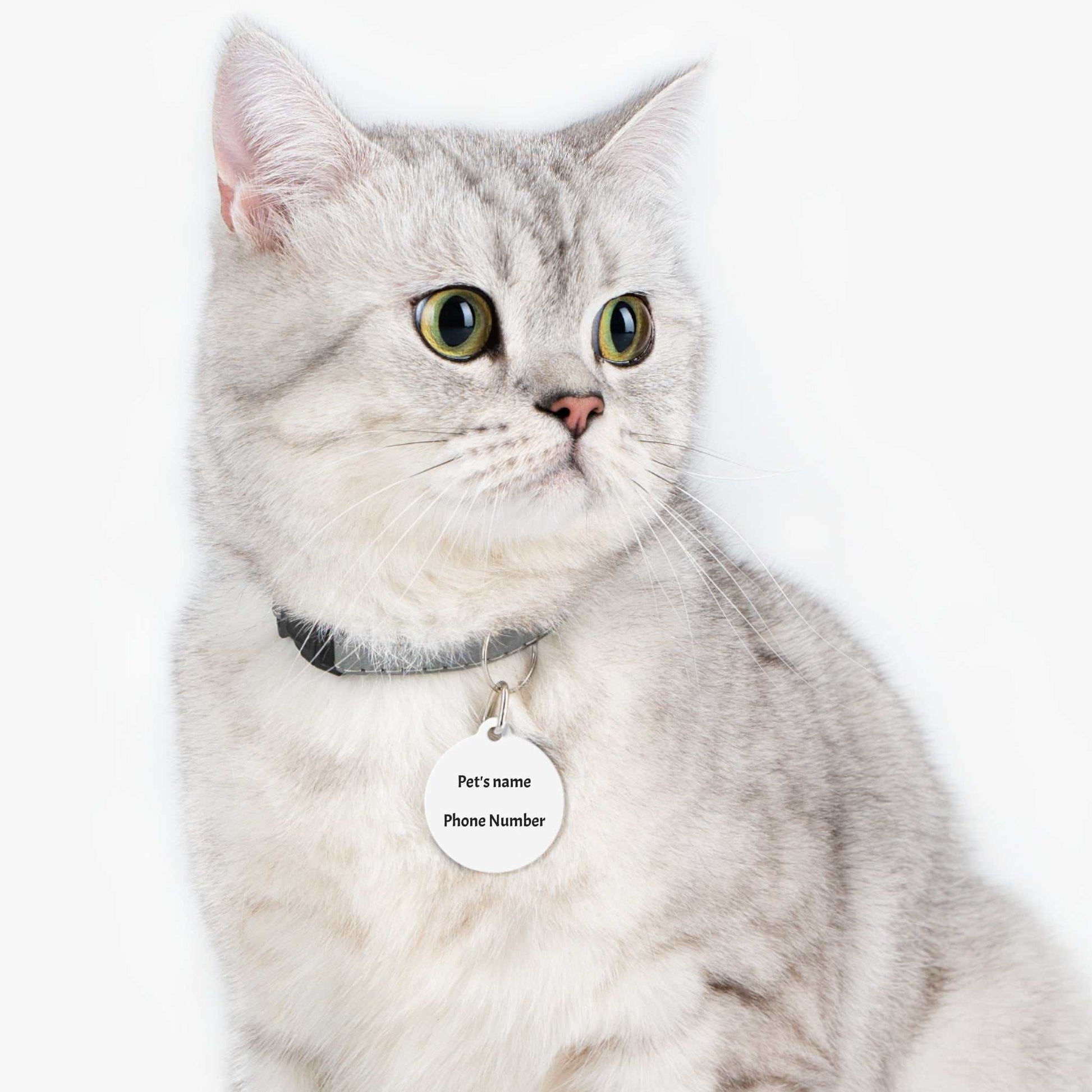 Personalized Pet Tag