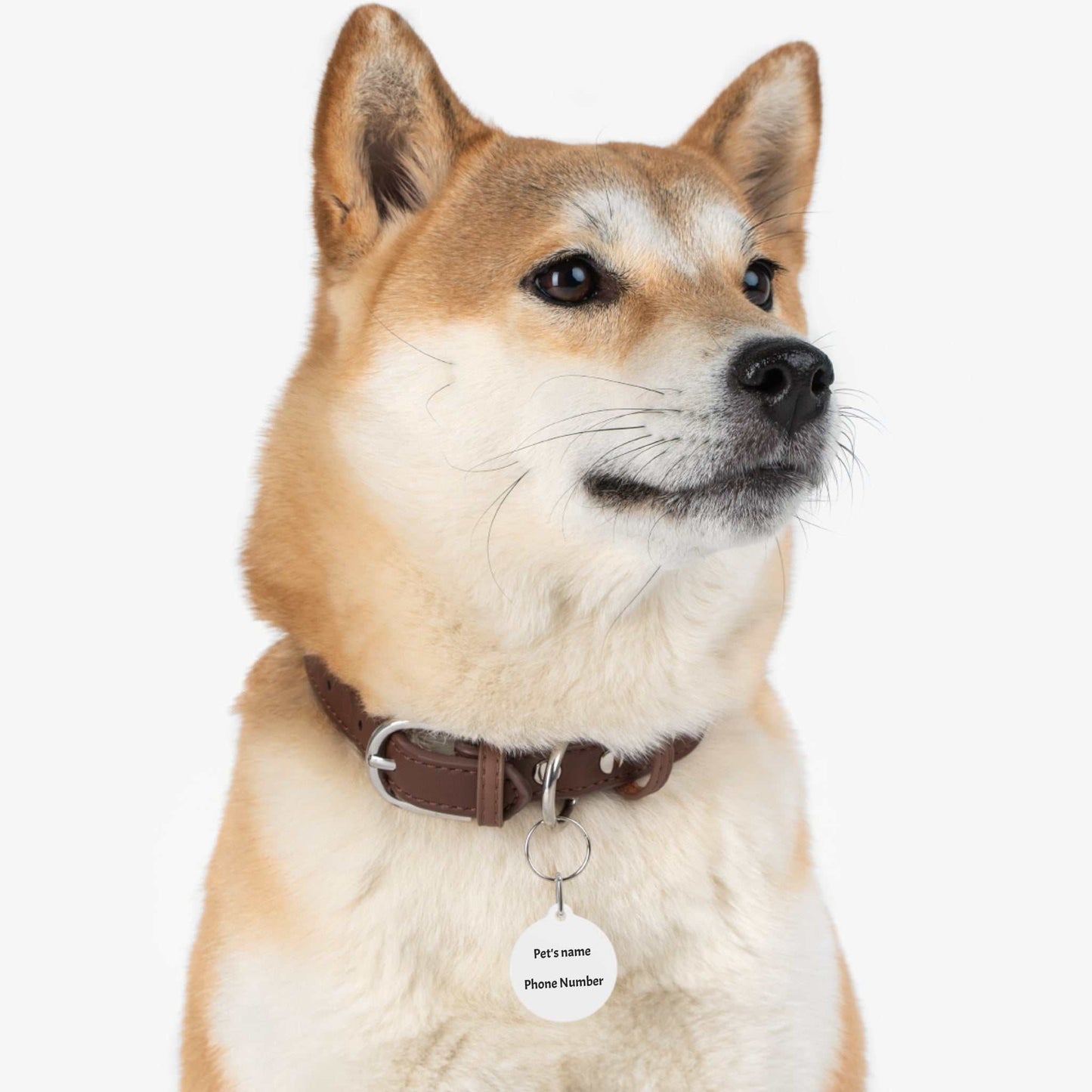 Personalized Pet Tag