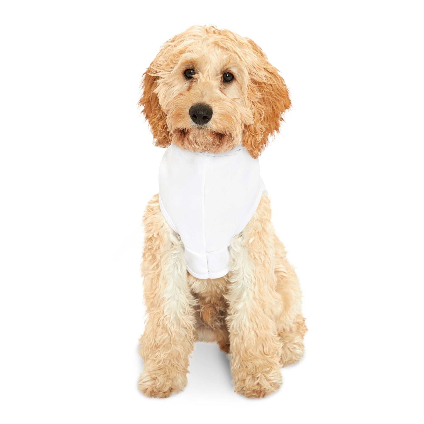 Personalized Pet Hoodie