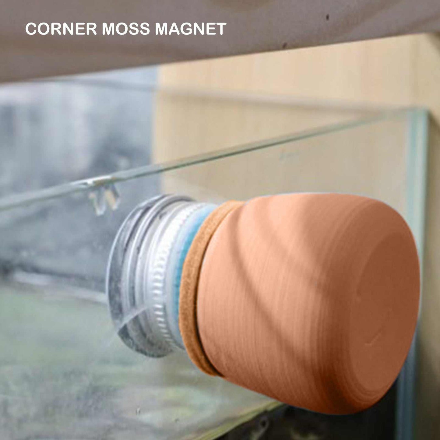 Fish Tank Corner Moss Magnet