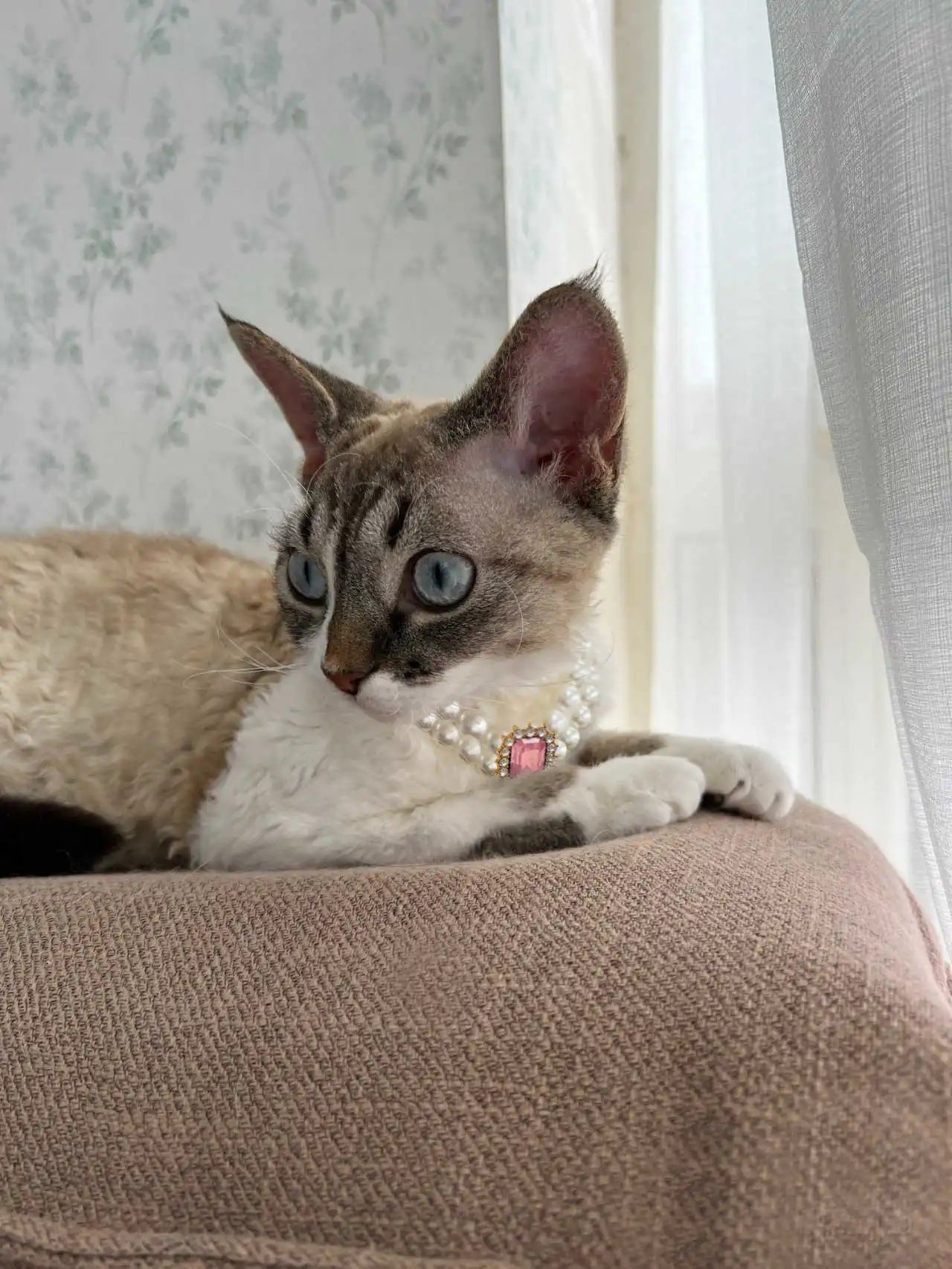 3-pcs Pink Diamond Double Strand Pearl & Rhinestone Pet Necklace - Luxury Collar for Cats & Dogs Size L (30-36cm)