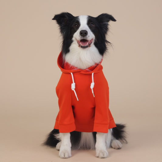 Orange Classic Dog Sweatshirt with Hood & Drawstrings - For Large Dogs (Size : 8XL)