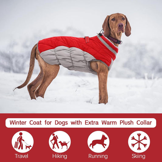 XXL Red Grey Premium Winter Puffer Dog Coat - Windproof & Fleece-Lined Jacket for Cold Weather