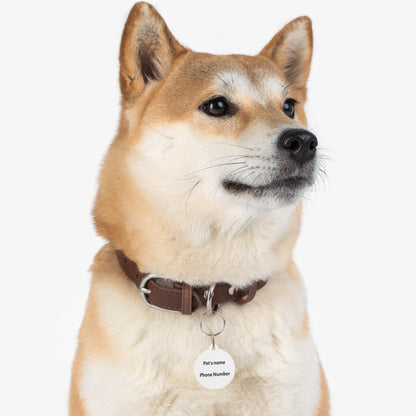 Personalized Pet Tag