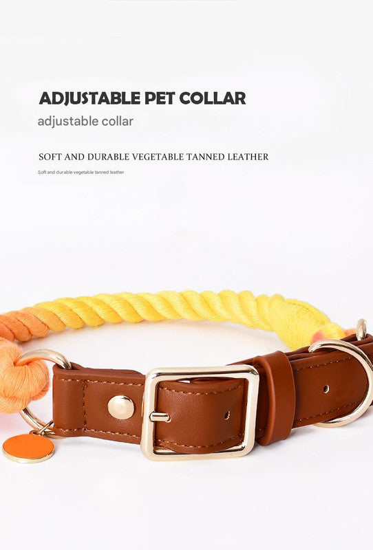 Premium Leather Pet Collar and Leash - Soft, Strong Braided Rope (Iridescent Red - Size S)