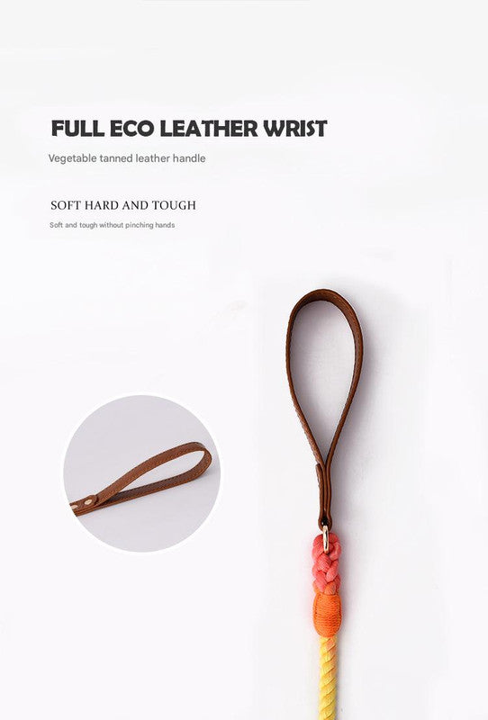Premium Leather Pet Collar and Leash - Soft, Strong Braided Rope (Iridescent Red - Size S)