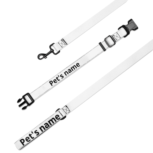 Pet collar & leash