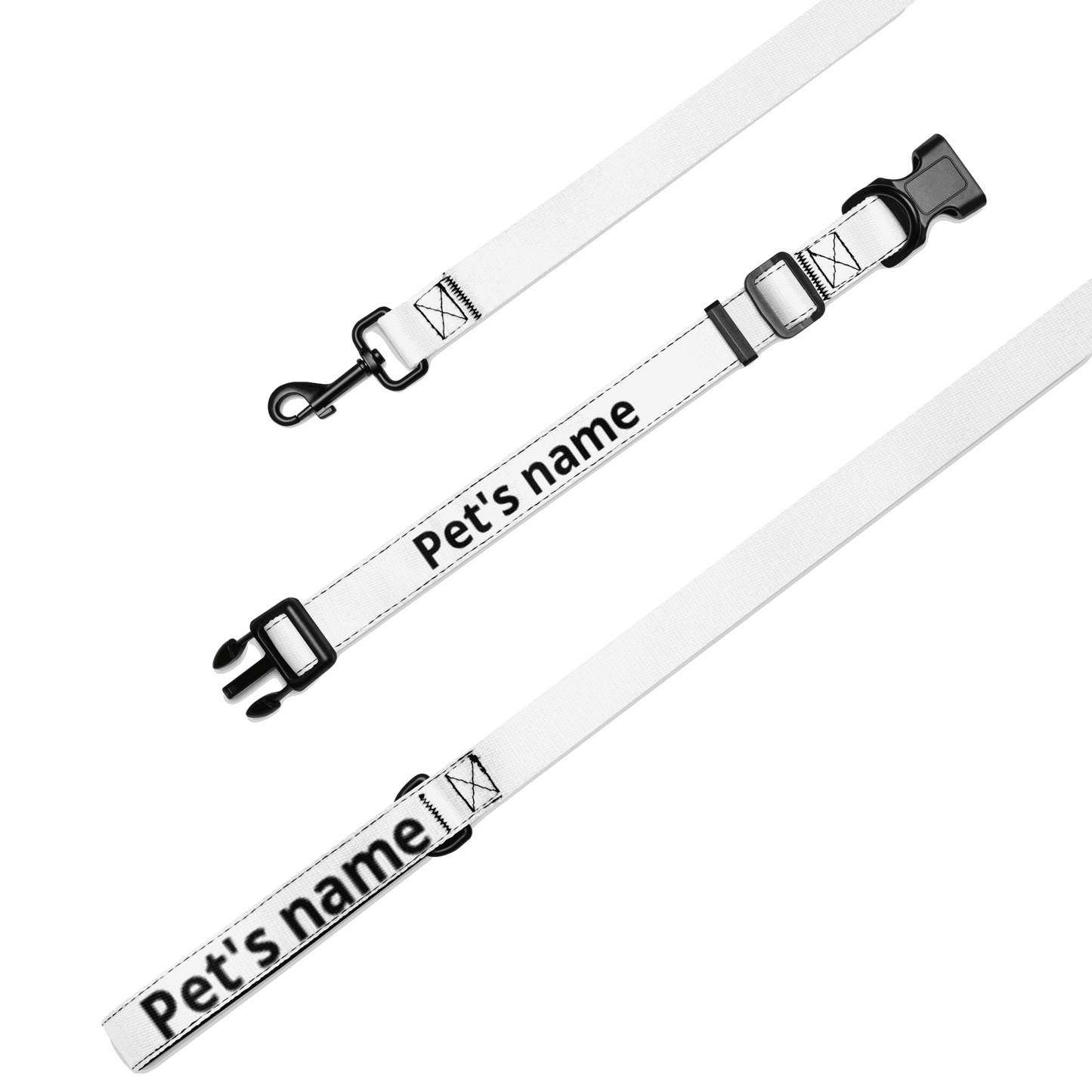 Pet collar & leash