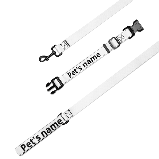 Pet collar & leash