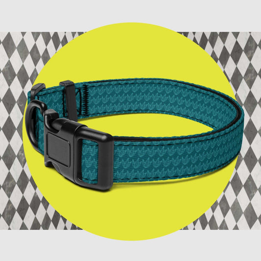 Pet collar